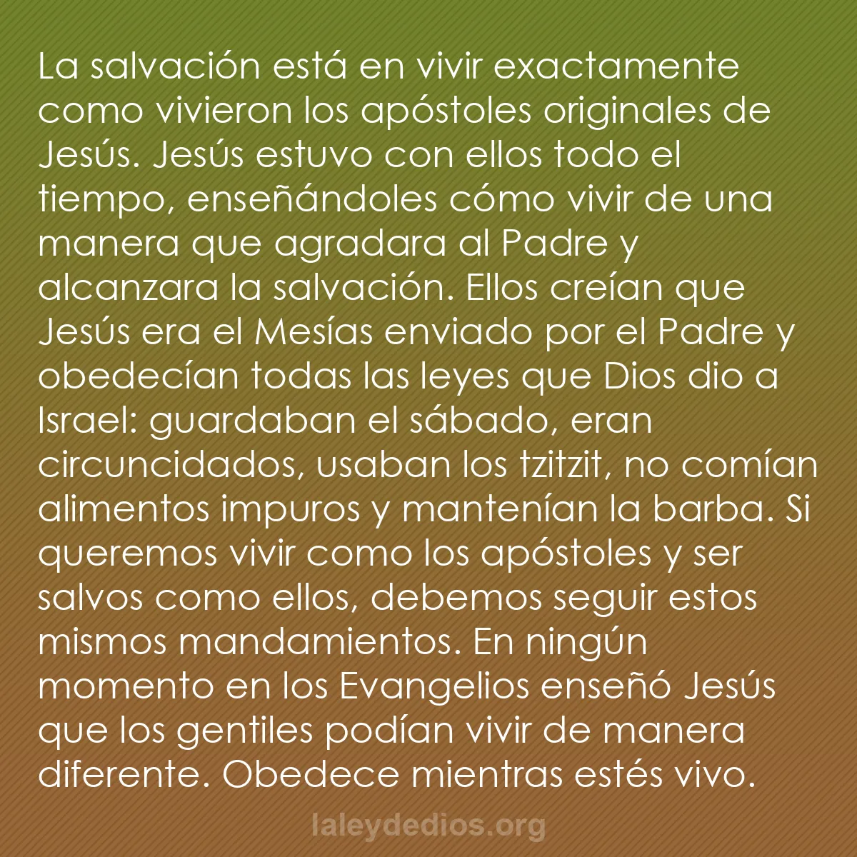 b0009 - Post sobre la Ley de Dios: La salvación está en vivir exactamente como vivieron los apóstoles...