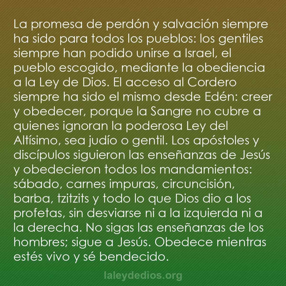 b0016 - Post sobre la Ley de Dios: La promesa de perdón y salvación siempre ha sido para todos...