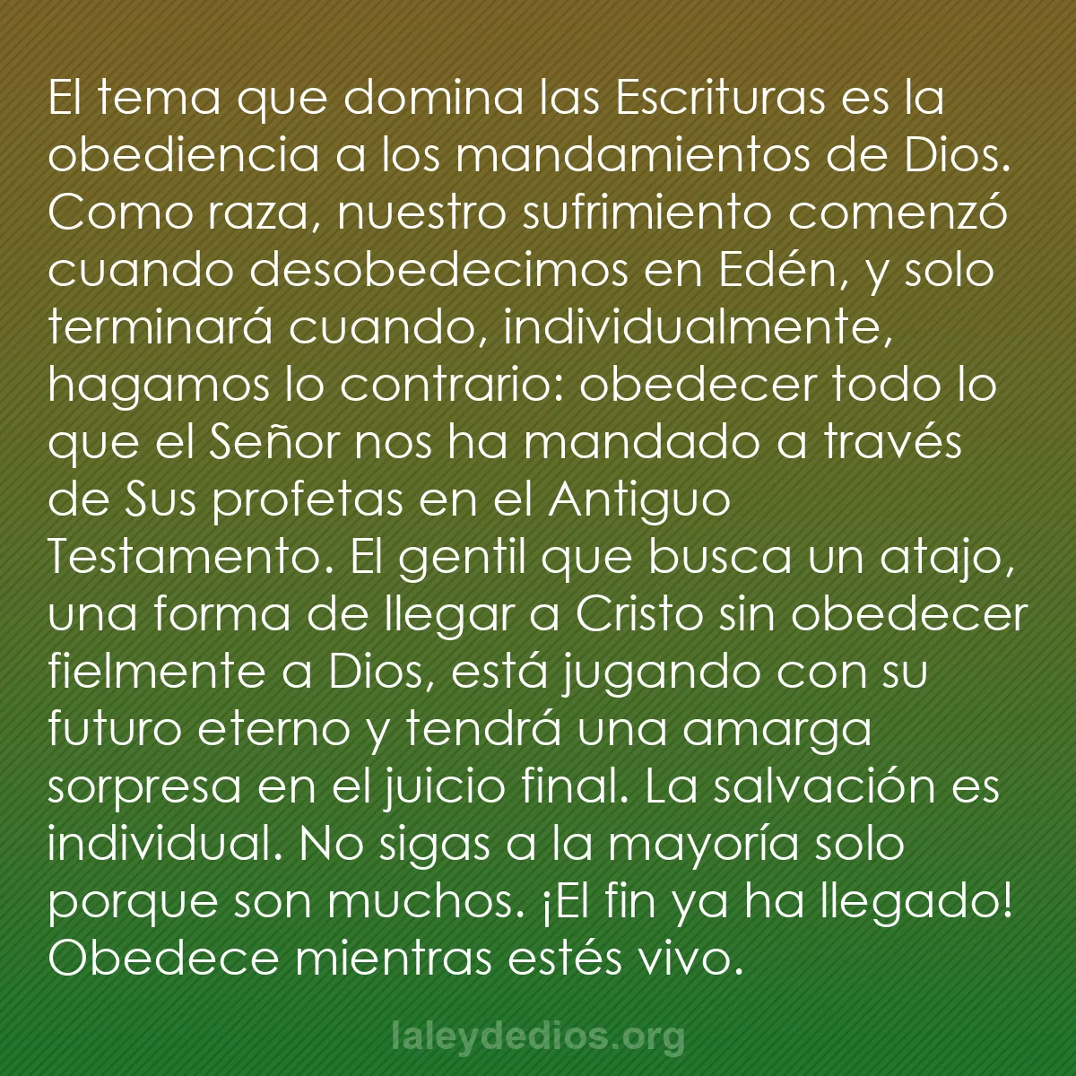 b0036 - Post sobre la Ley de Dios: El tema que domina las Escrituras es la obediencia a los mandamientos...