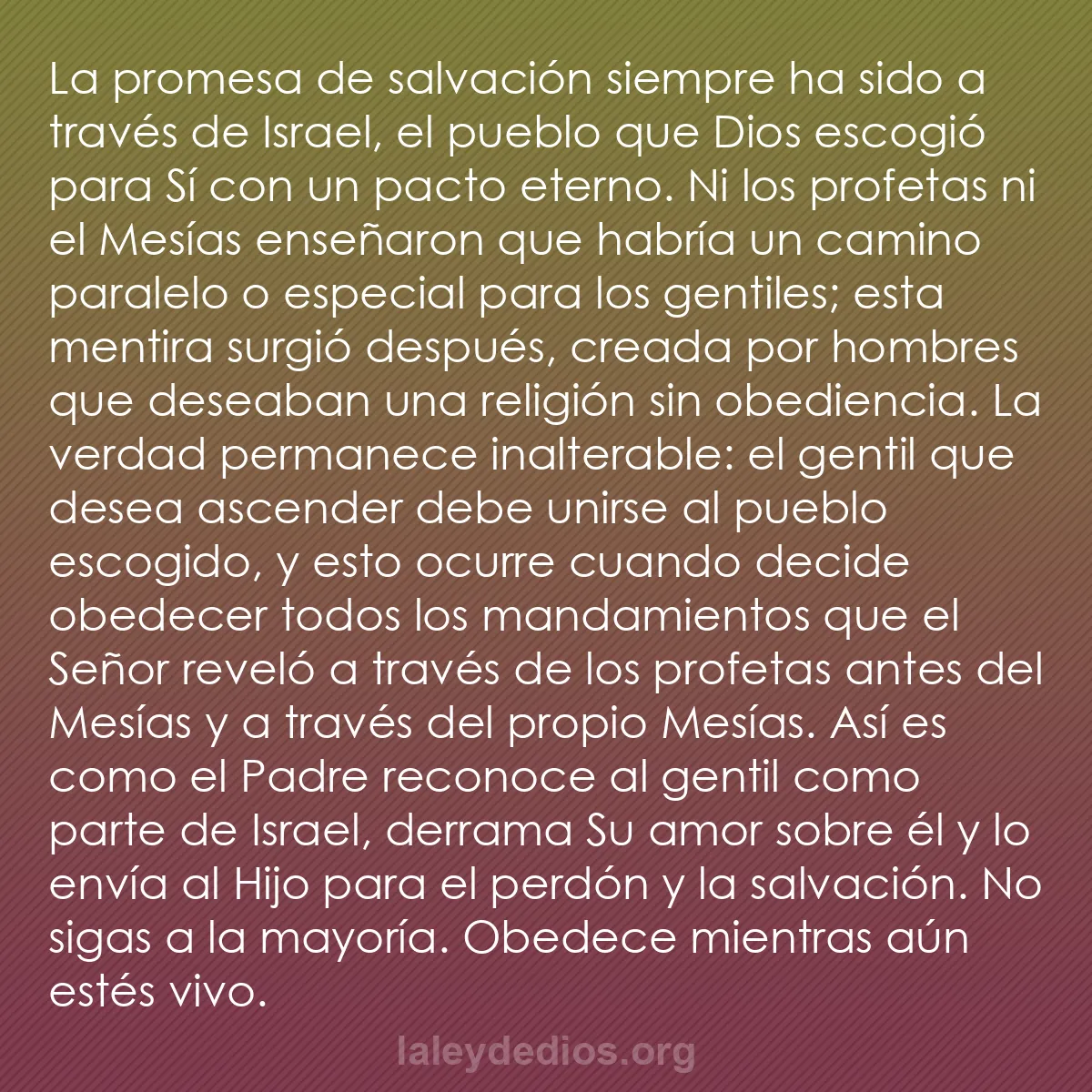 b0048 - Post sobre la Ley de Dios: La promesa de salvación siempre ha sido a través de Israel,...