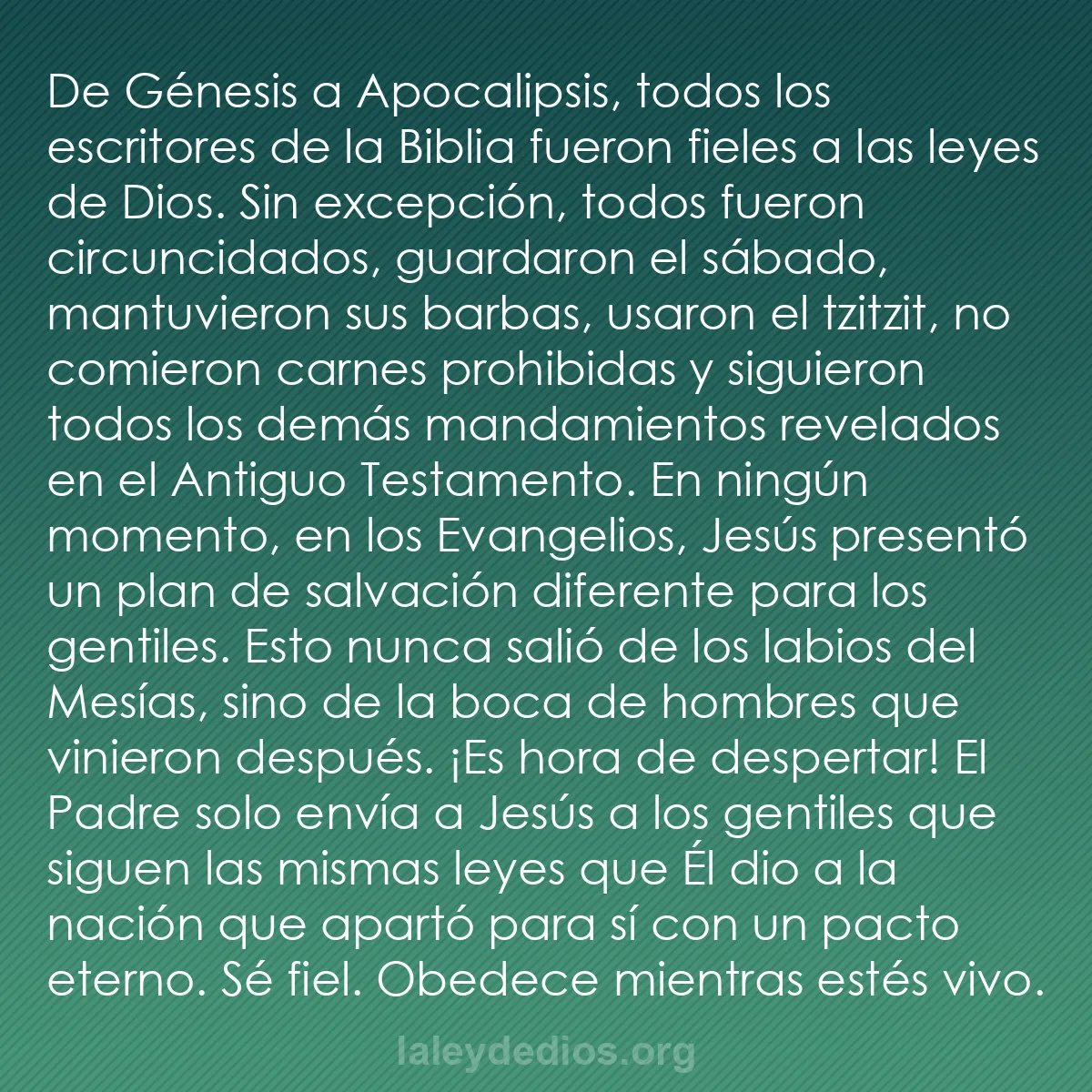 b0065 - Post sobre la Ley de Dios: De Génesis a Apocalipsis, todos los escritores de la Biblia...