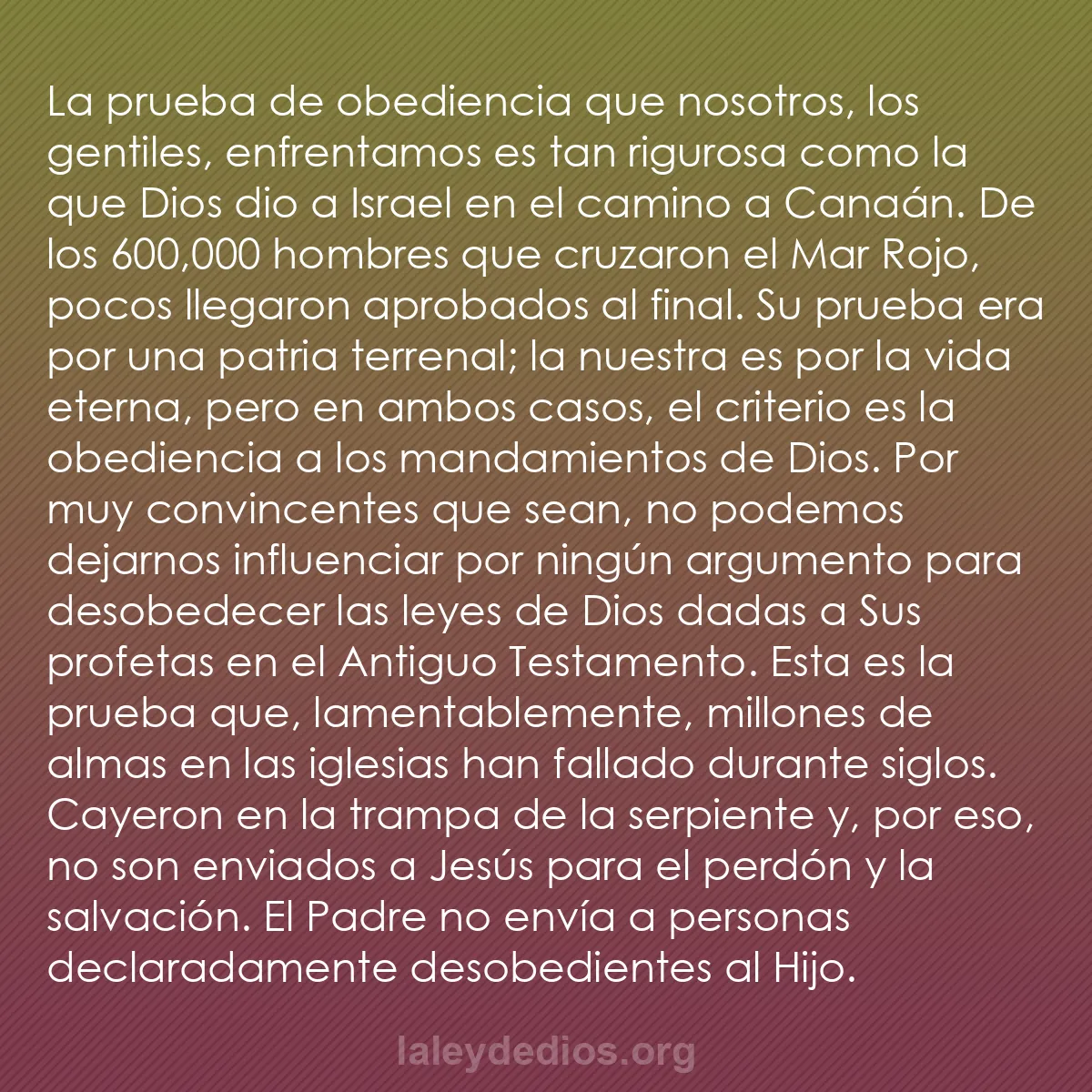 b0108 - Post sobre la Ley de Dios: La prueba de obediencia que nosotros, los gentiles, enfrentamos...