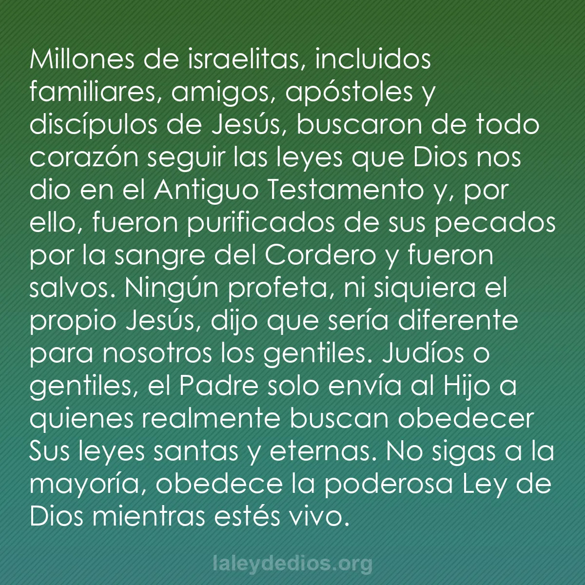 b0190 - Post sobre la Ley de Dios: Millones de israelitas, incluidos familiares, amigos, apóstoles...