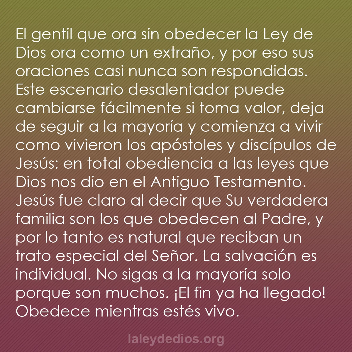 b0208 - Post sobre la Ley de Dios: El gentil que ora sin obedecer la Ley de Dios ora como un extraño,...