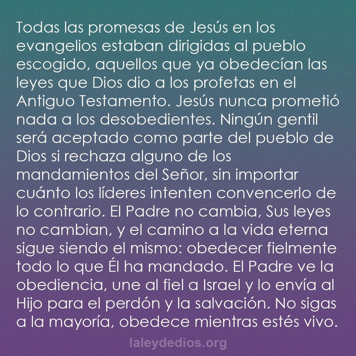 b0264 - Post sobre la Ley de Dios: Todas las promesas de Jesús en los evangelios estaban dirigidas...