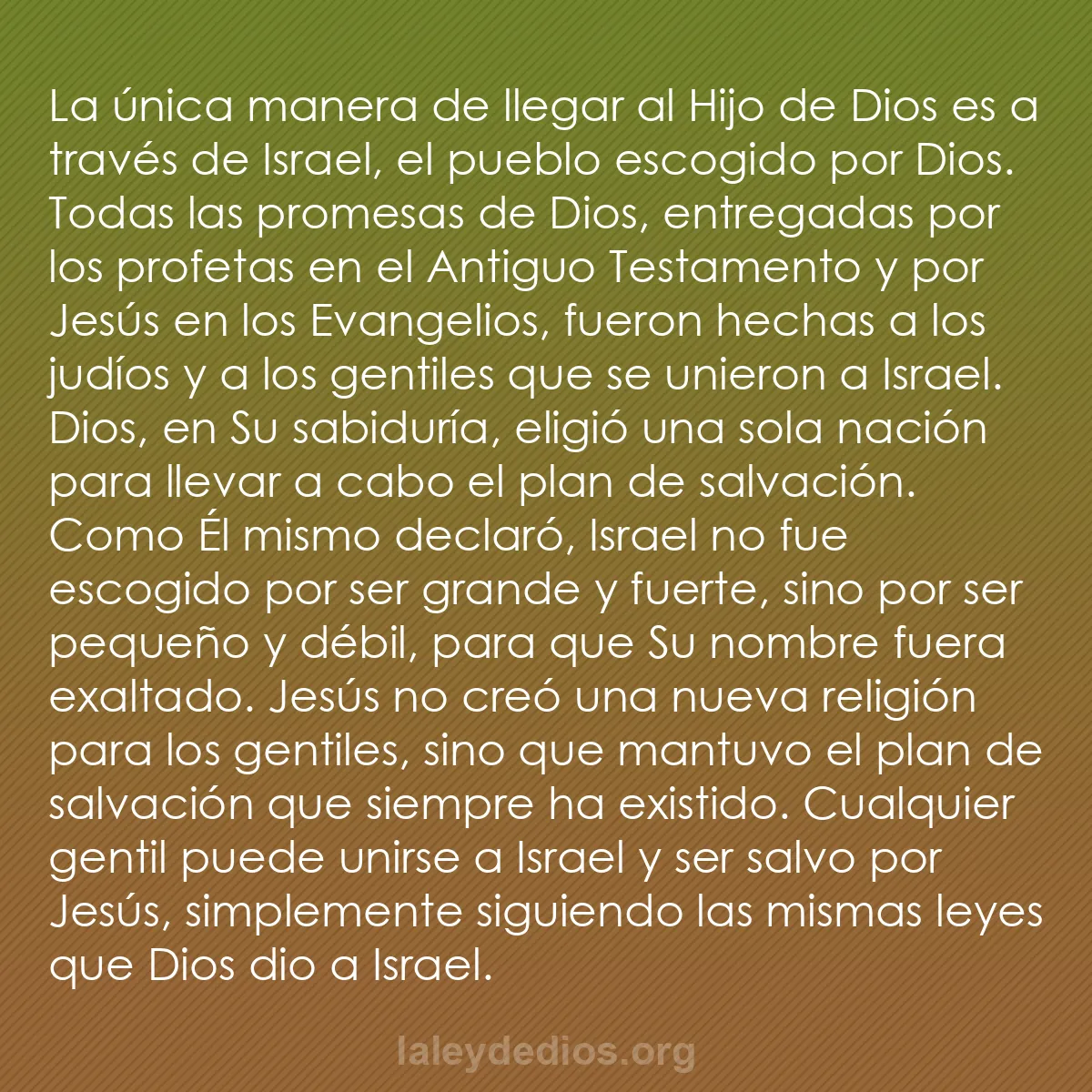 b0269 - Post sobre la Ley de Dios: La única manera de llegar al Hijo de Dios es a través de Israel,...