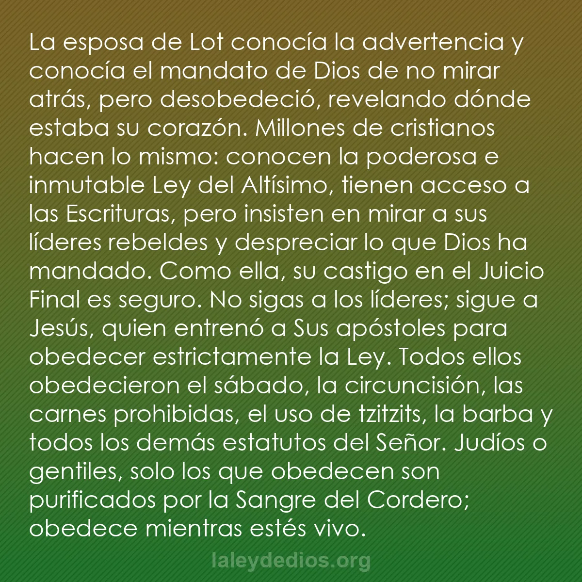 b0276 - Post sobre la Ley de Dios: La esposa de Lot conocía la advertencia y conocía el mandato...