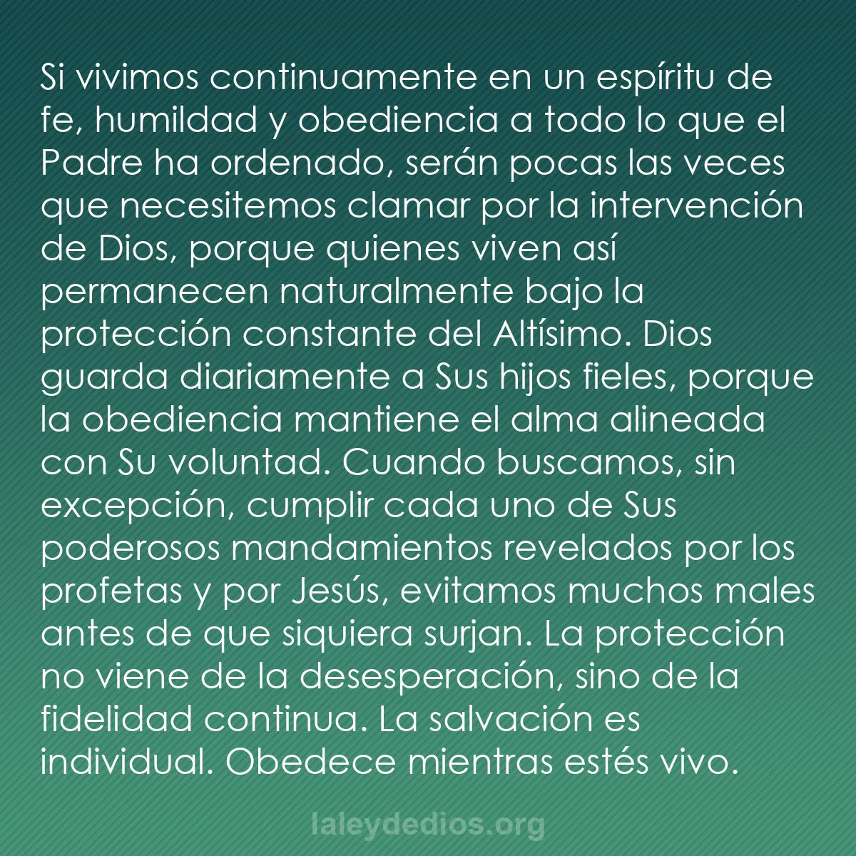 b0285 - Post sobre la Ley de Dios: Si vivimos continuamente en un espíritu de fe, humildad y obediencia...