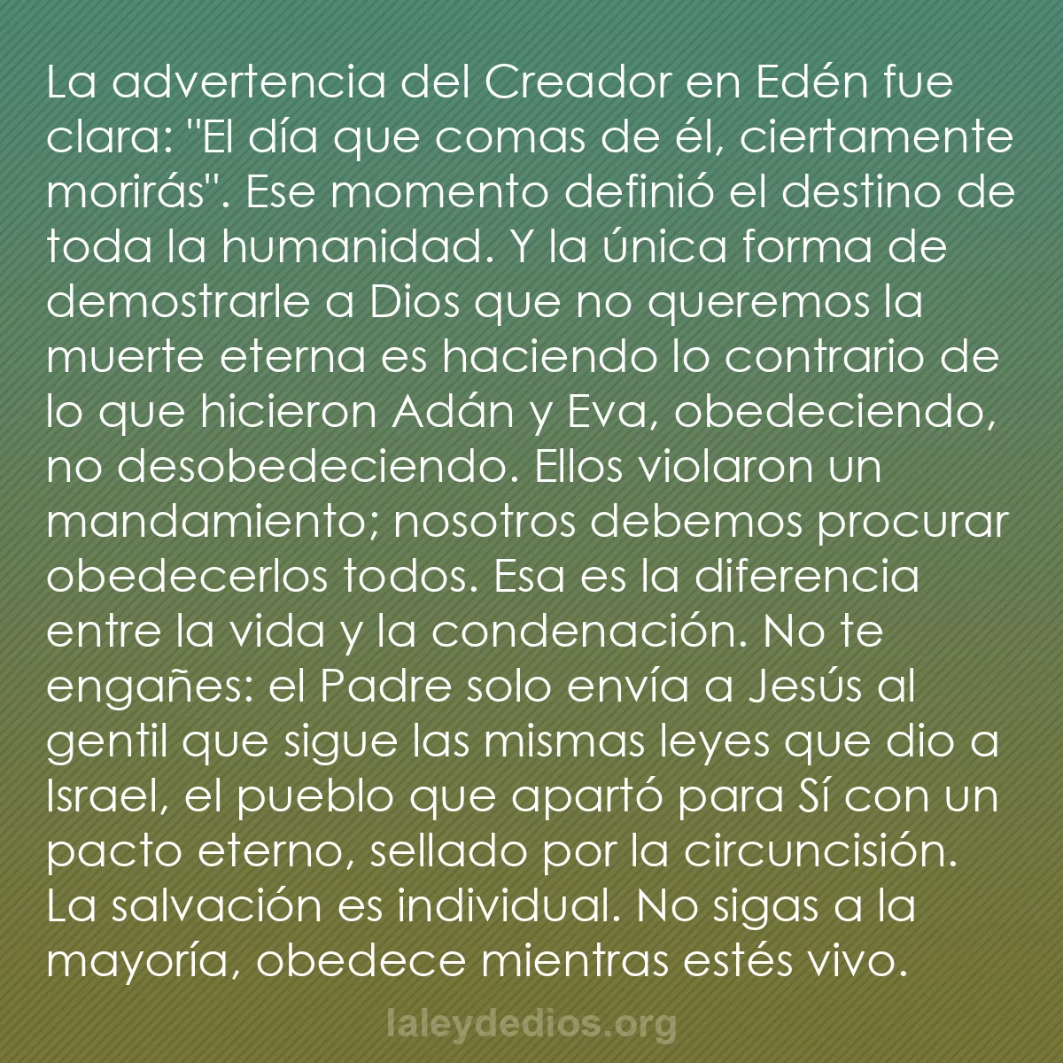 b0303 - Post sobre la Ley de Dios: La advertencia del Creador en Edén fue clara: "El día que comas...