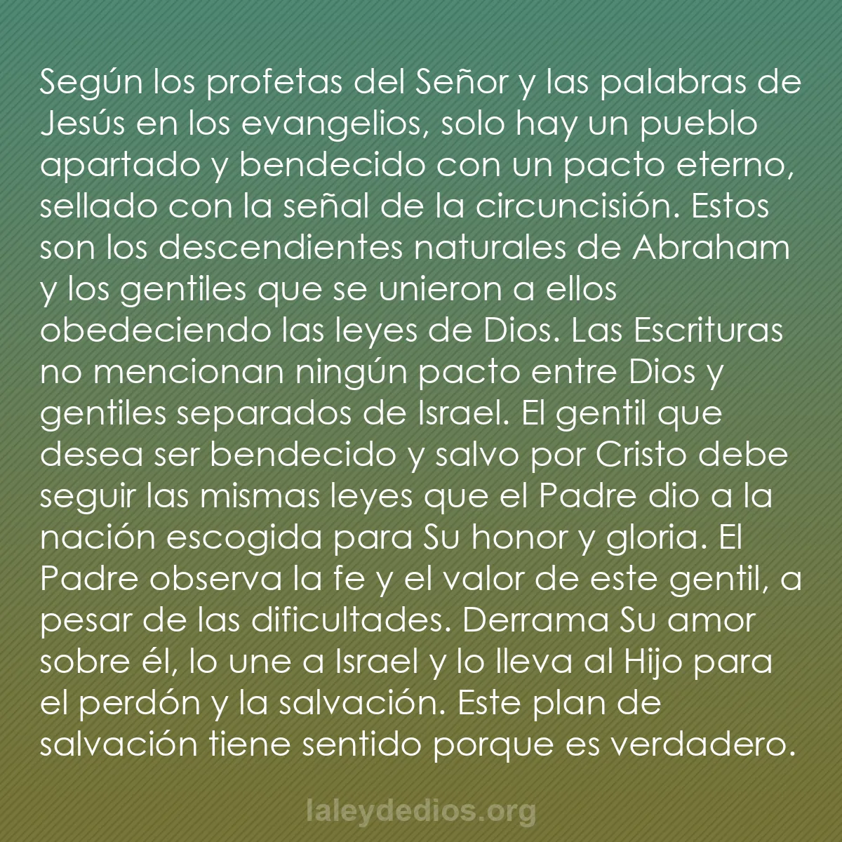 b0323 - Post sobre la Ley de Dios: Según los profetas del Señor y las palabras de Jesús en los...