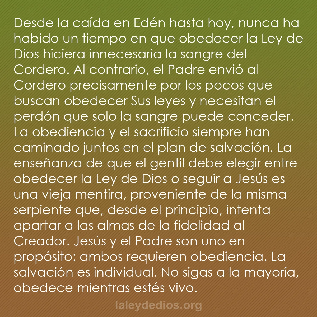 b0329 - Post sobre la Ley de Dios: Desde la caída en Edén hasta hoy, nunca ha habido un tiempo...
