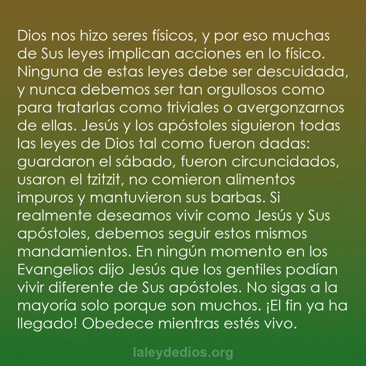 b0336 - Post sobre la Ley de Dios: Dios nos hizo seres físicos, y por eso muchas de Sus leyes implican...