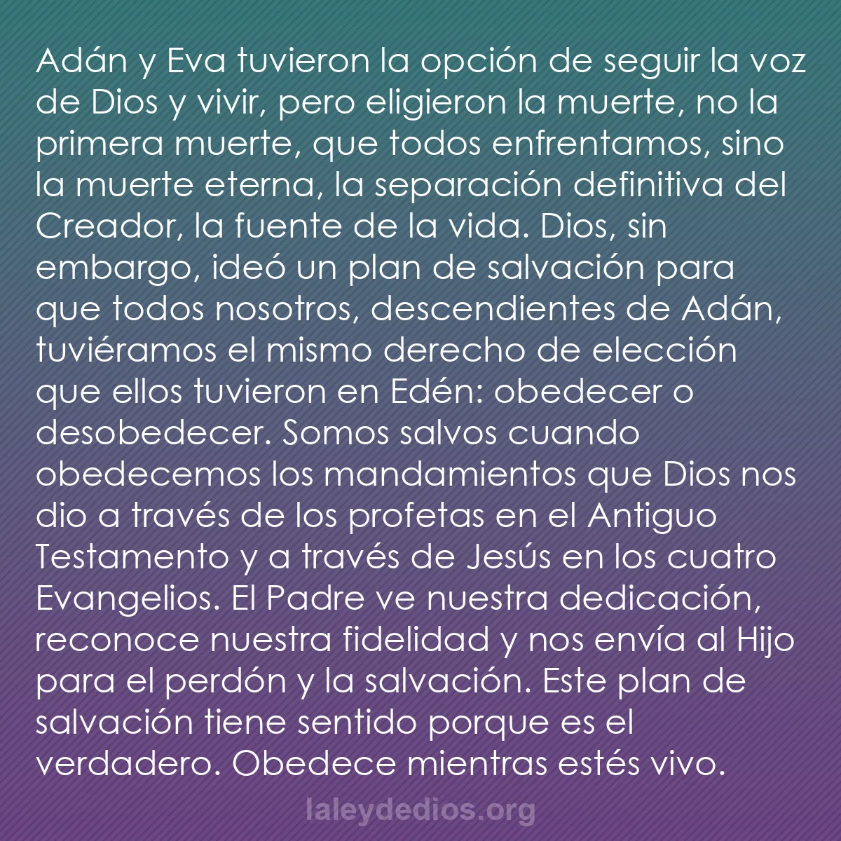 b0364 - Post sobre la Ley de Dios: Adán y Eva tuvieron la opción de seguir la voz de Dios y vivir,...