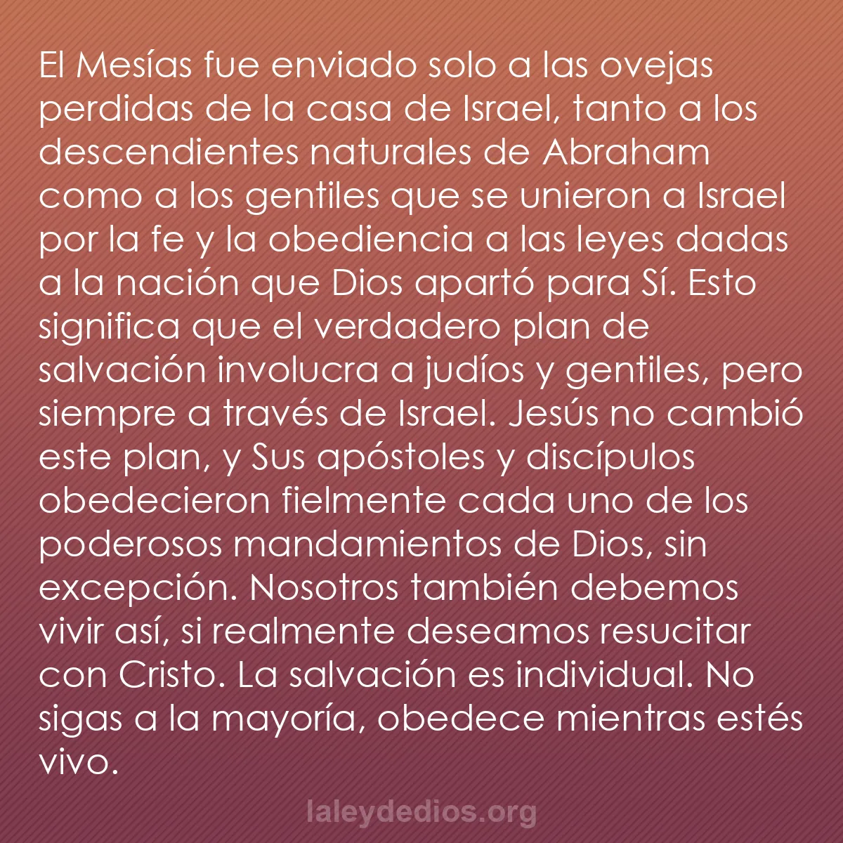 b0366 - Post sobre la Ley de Dios: El Mesías fue enviado solo a las ovejas perdidas de la casa...