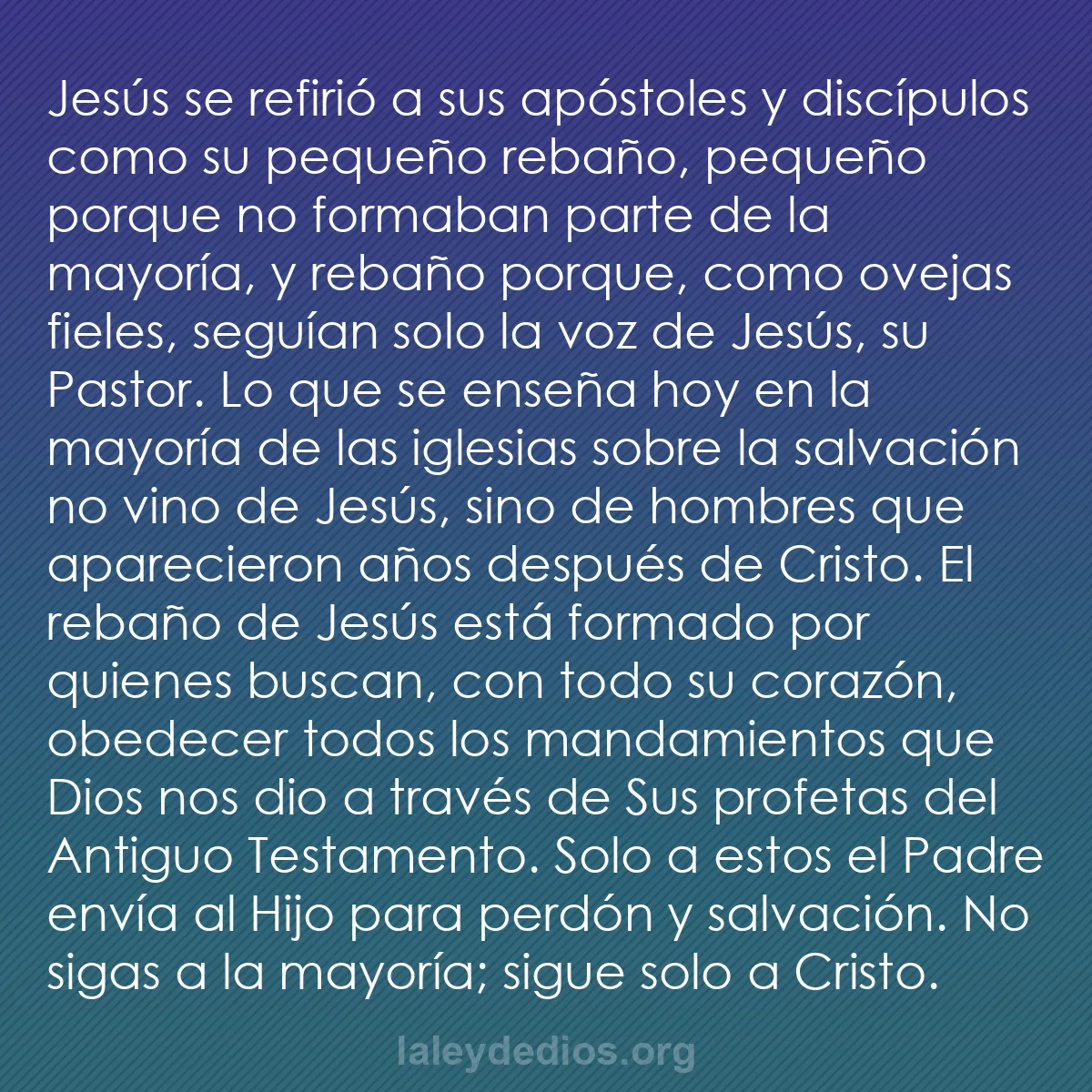 b0457 - Post sobre la Ley de Dios: Jesús se refirió a sus apóstoles y discípulos como su pequeño...