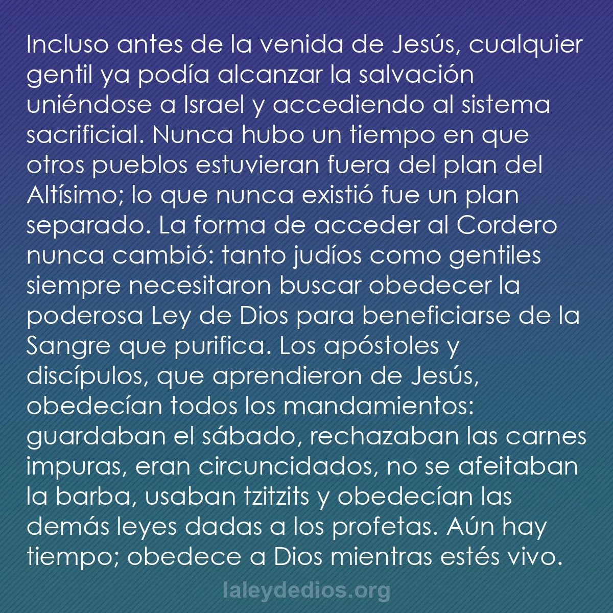 b0497 - Post sobre la Ley de Dios: Incluso antes de la venida de Jesús, cualquier gentil ya podía...