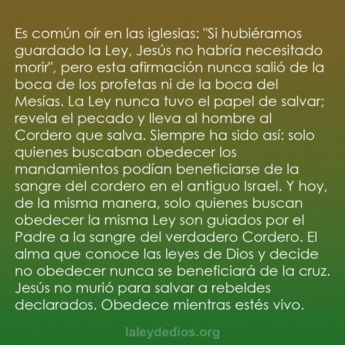 b0536 - Post sobre la Ley de Dios: Es común oír en las iglesias: "Si hubiéramos guardado la Ley,...