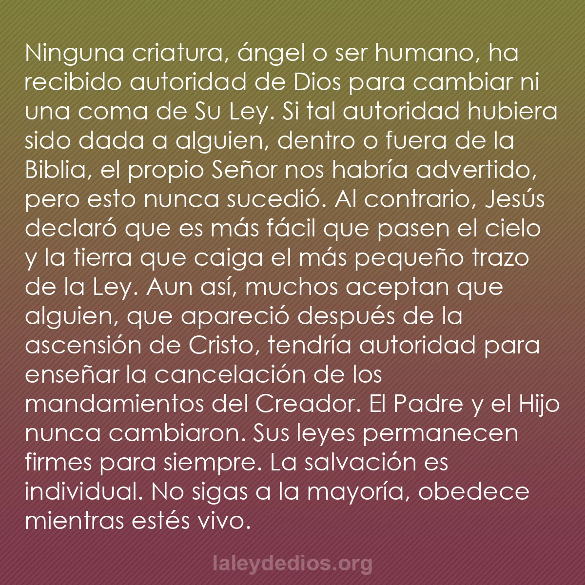 b0588 - Post sobre la Ley de Dios: Ninguna criatura, ángel o ser humano, ha recibido autoridad...